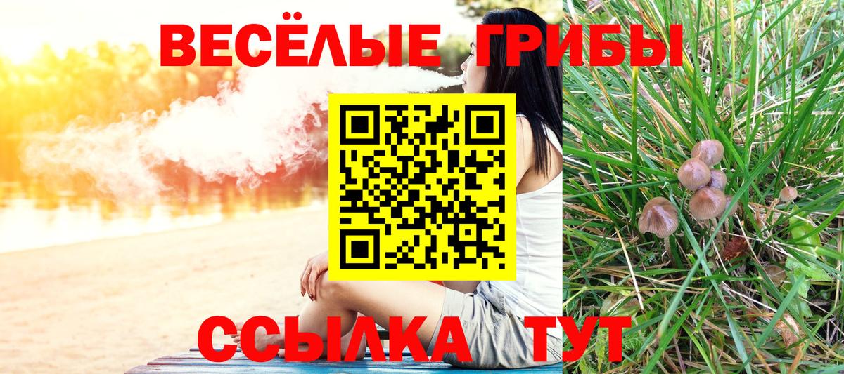 Егорьевск  Галлюциногенные грибы прущие грибы  Вход с VPN 