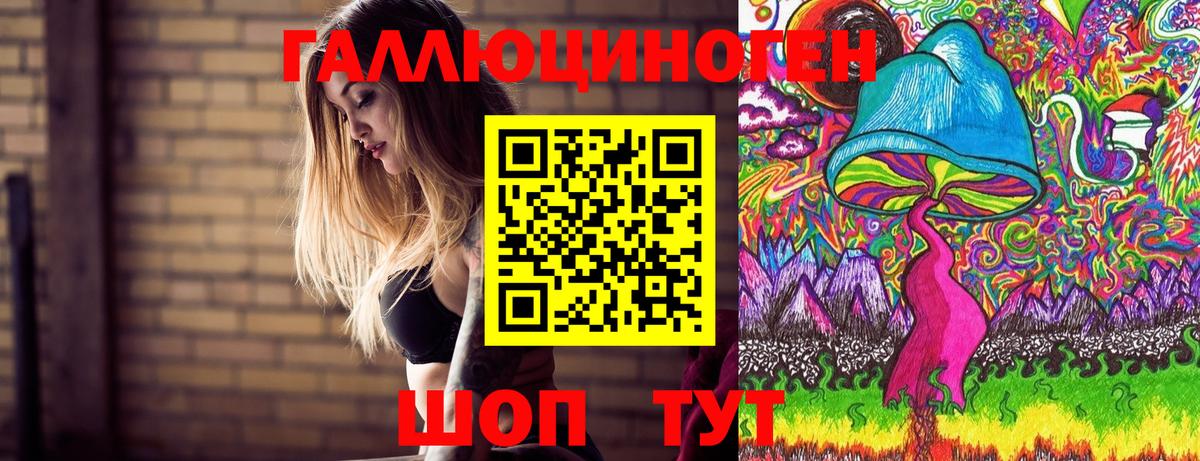 Псилоцибиновые грибы Psilocybe Егорьевск
